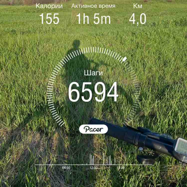 Легкий шаг 🤸🏼‍♂️ Дилара  🚴‍♂️ post image