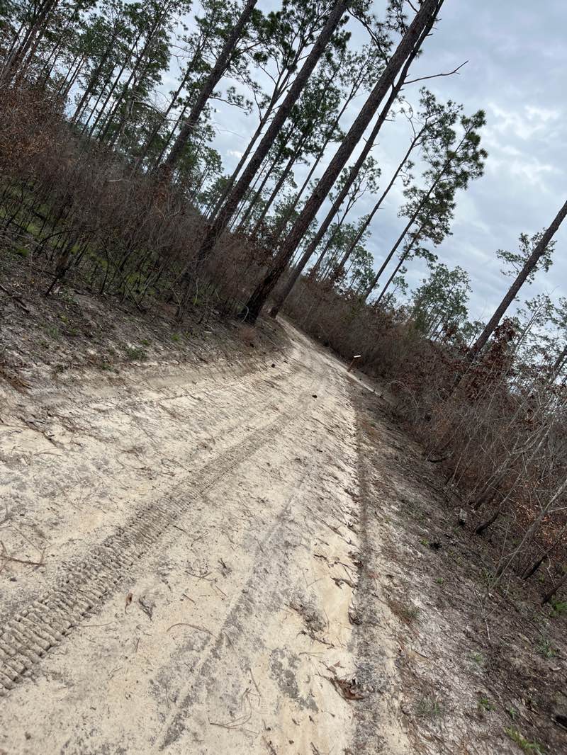 walking near me in Seminole State Park in winter