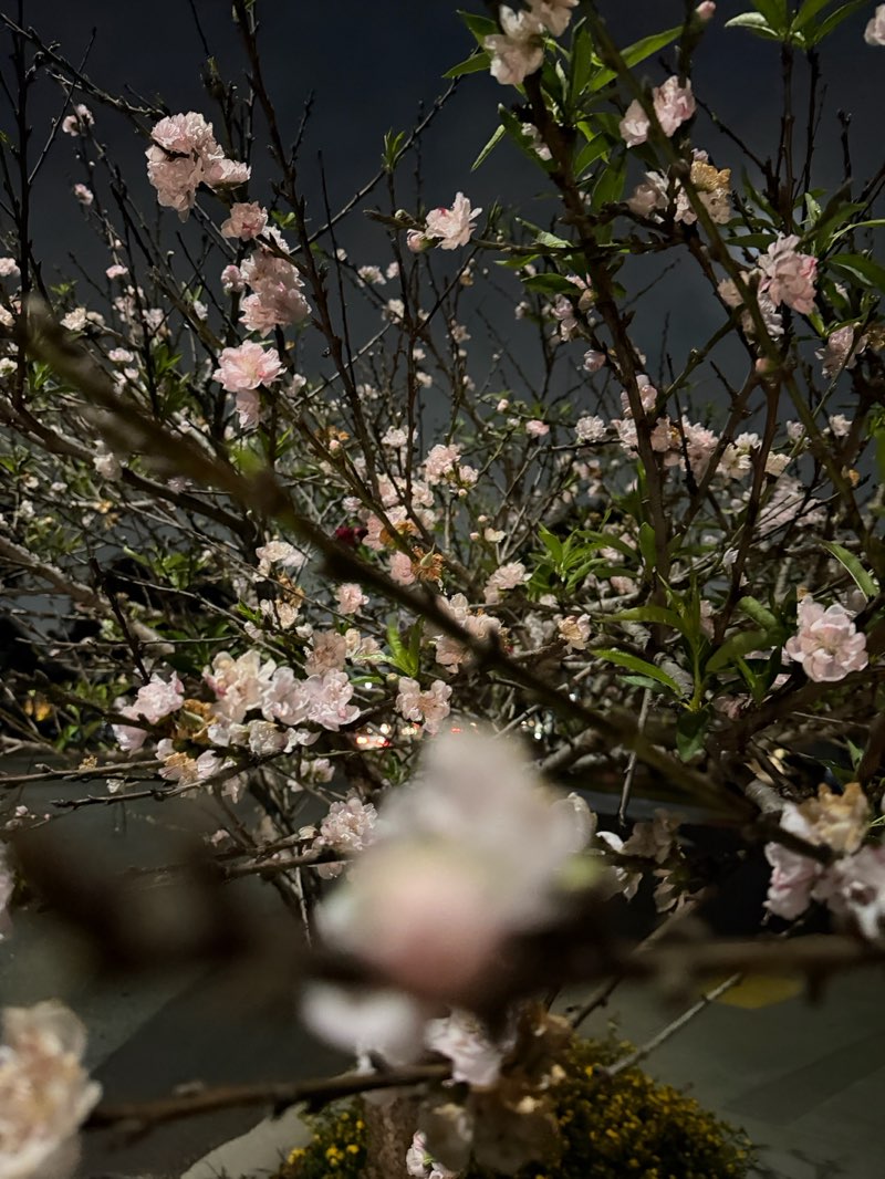 walking near me in Rosecrans Recreation Center in spring