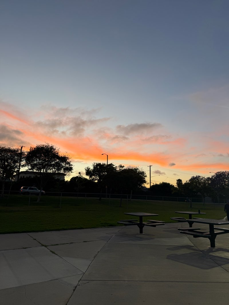 walking near me in Aviation Park in spring