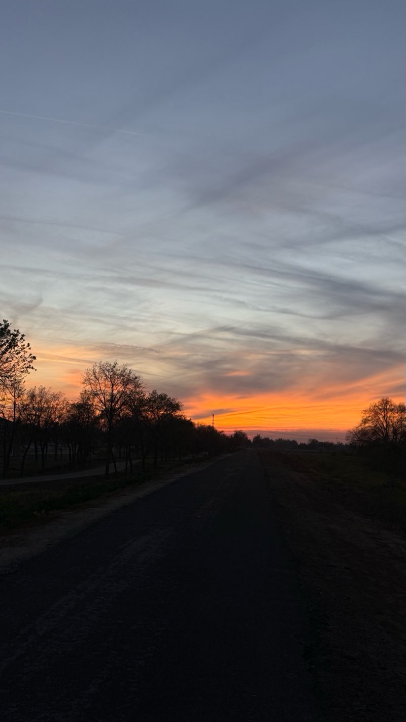 walking near me in Cutler Park in winter
