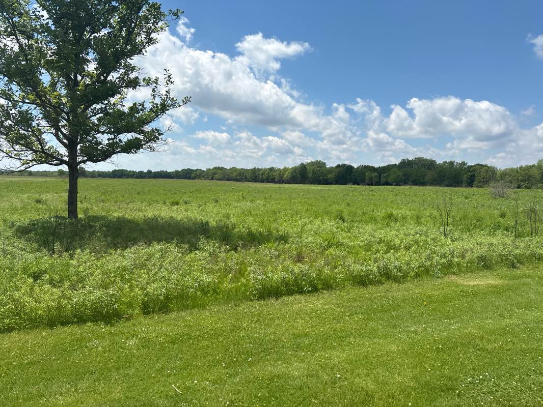 walking near me in Perry Farm Park in summer