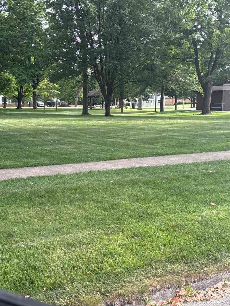 walking near me in Ashkum Park in summer