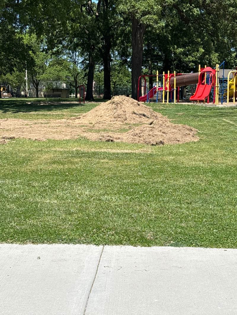 walking near me in Beckman Park in summer