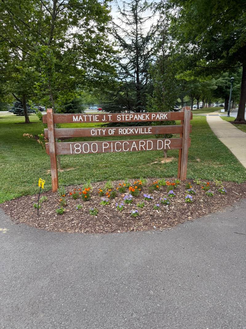 walking near me in Mattie J.T. Stepanek Park in summer