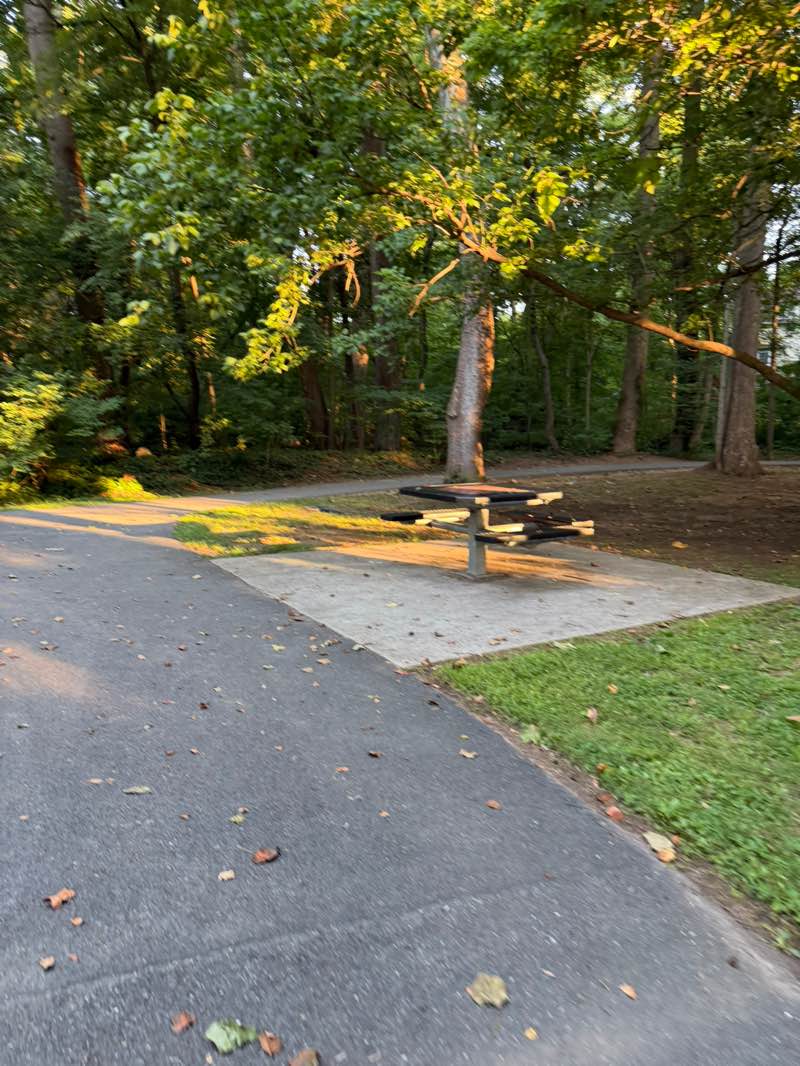 walking near me in Willard Avenue Neighborhood Park in summer