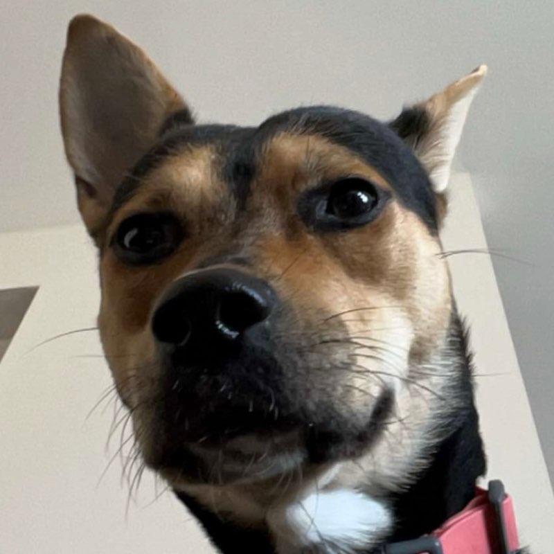 Kevin profile