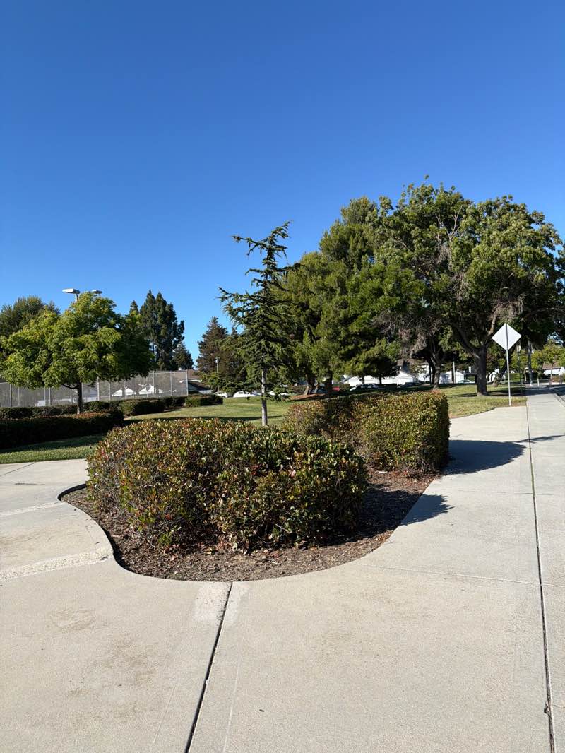 walking near me in Fischer Park in summer