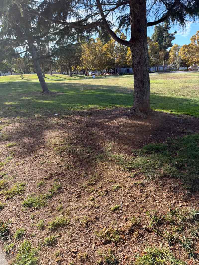 walking near me in Irvington Community Park in autumn