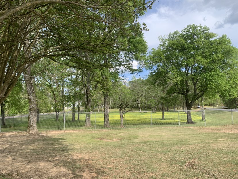walking near me in Lakeside Park in spring