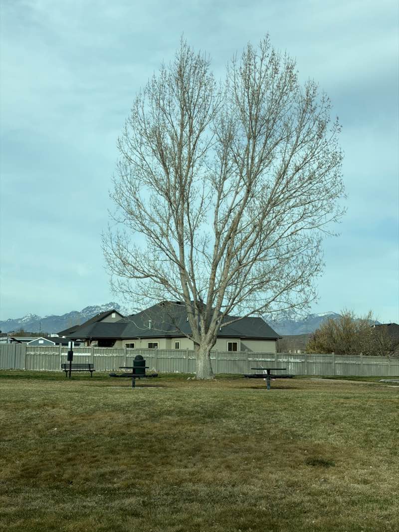 walking near me in Eagle's Gate West Park in spring