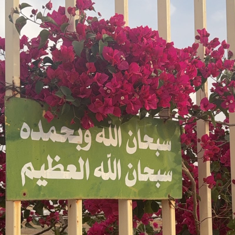 mohammed bin Hamad icon