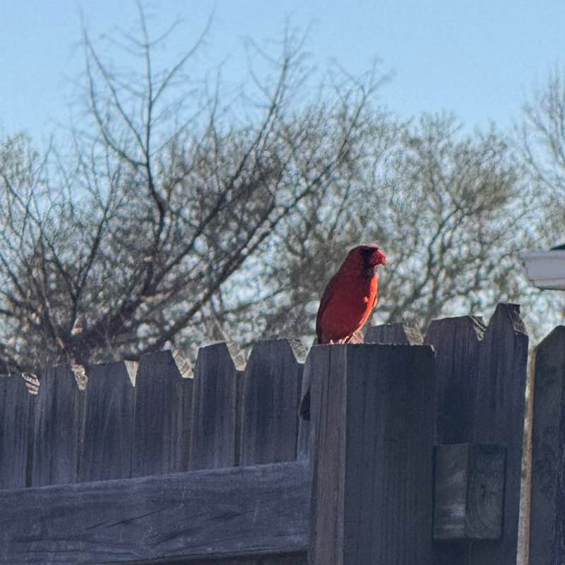 🐬🐠🐳🐡Jen S🏕️🏝️ post 2