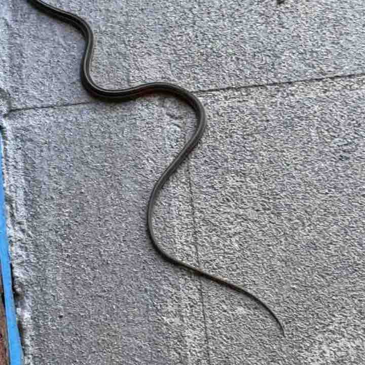 🐬🐠🐳🐡Jen S🏕️🏝️ post 1