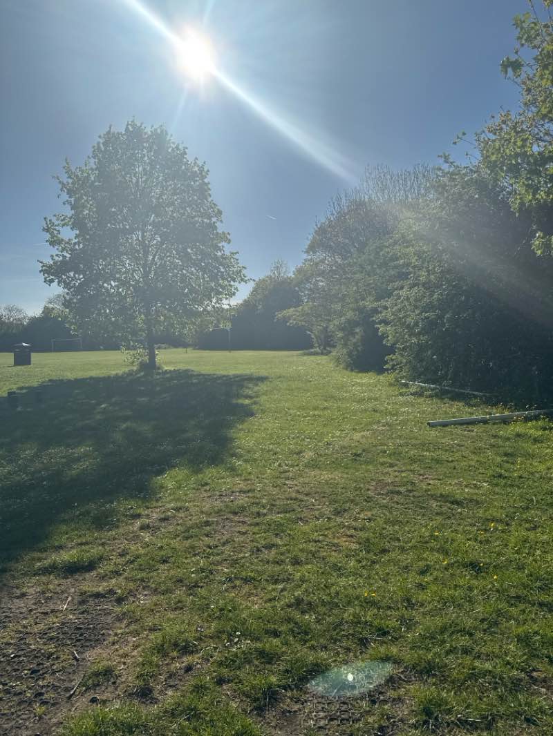 walking near me in Clock Tower Park in spring