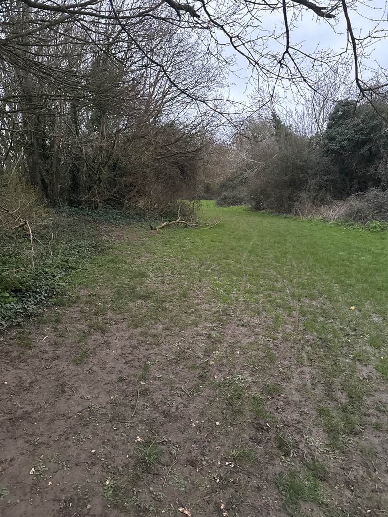 walking near me in Abbeymead Contour Park in spring