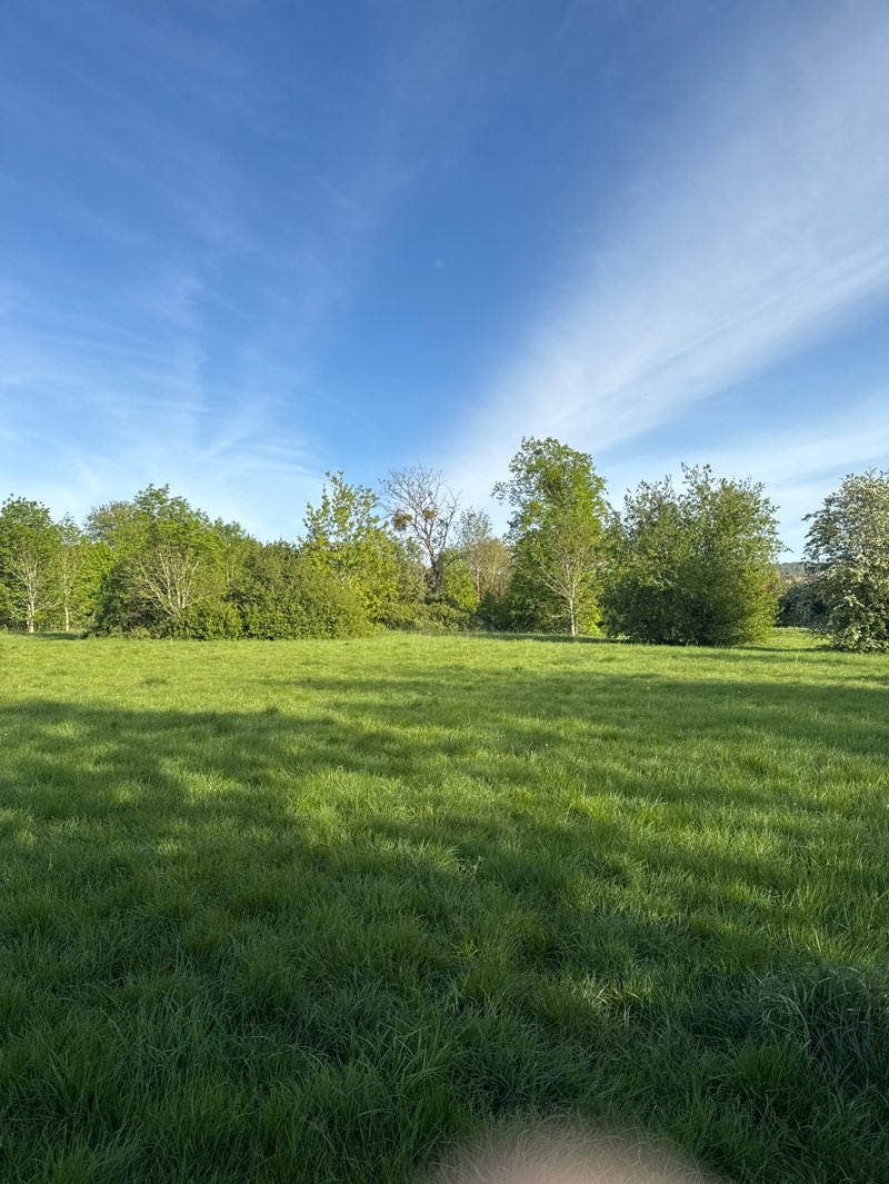 walking near me in Clock Tower Park in spring