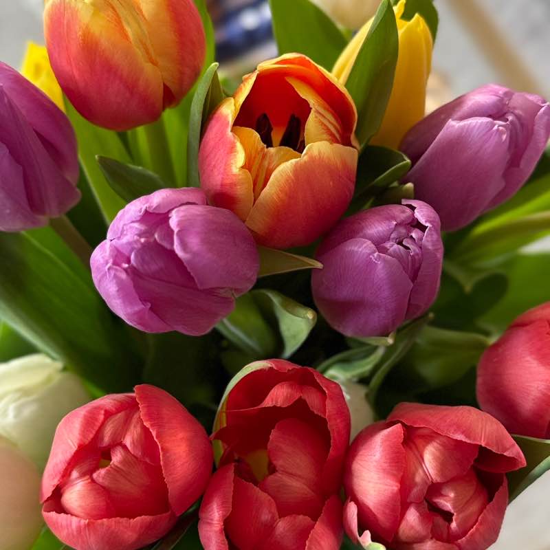 🏃‍♀️Bərk Gəzənlər🏃‍♀️ Konul post image