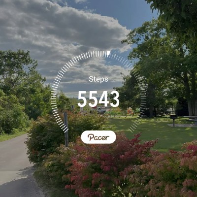 Walking Club Hank Williams jr post image