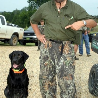 Walking Cats Hank Williams jr post image