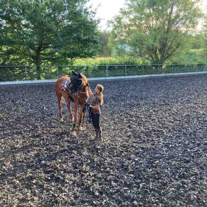 Spazieren und Reiten Berlin Nela 🌸🐴 post image