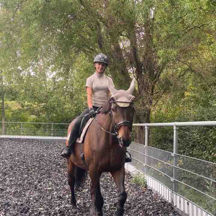 Spazieren und Reiten Berlin Nela 🪻🐴 post image