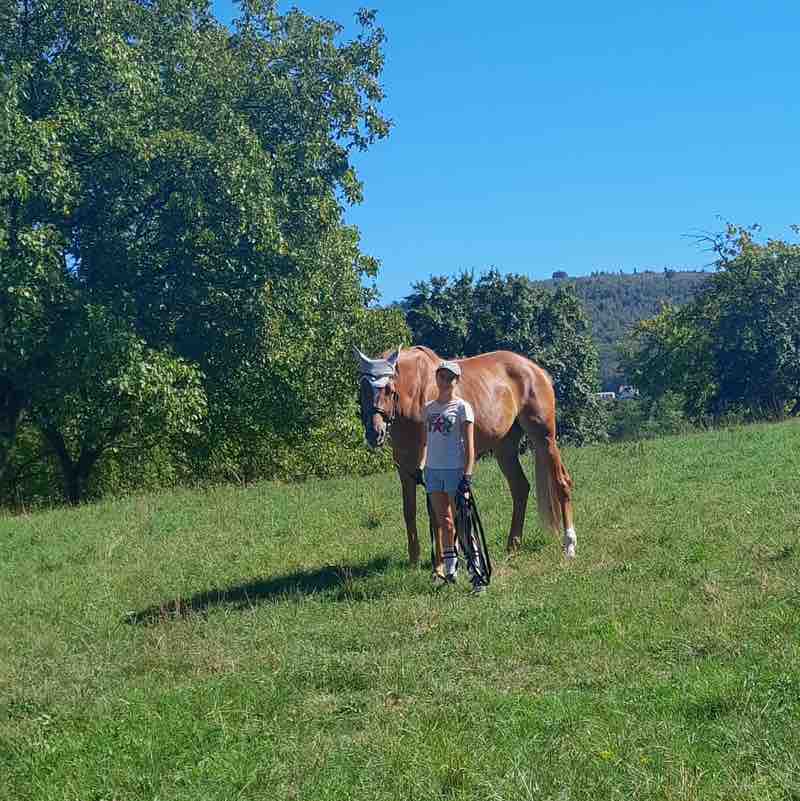 Frankenthal Nela 🪻🐴 post image