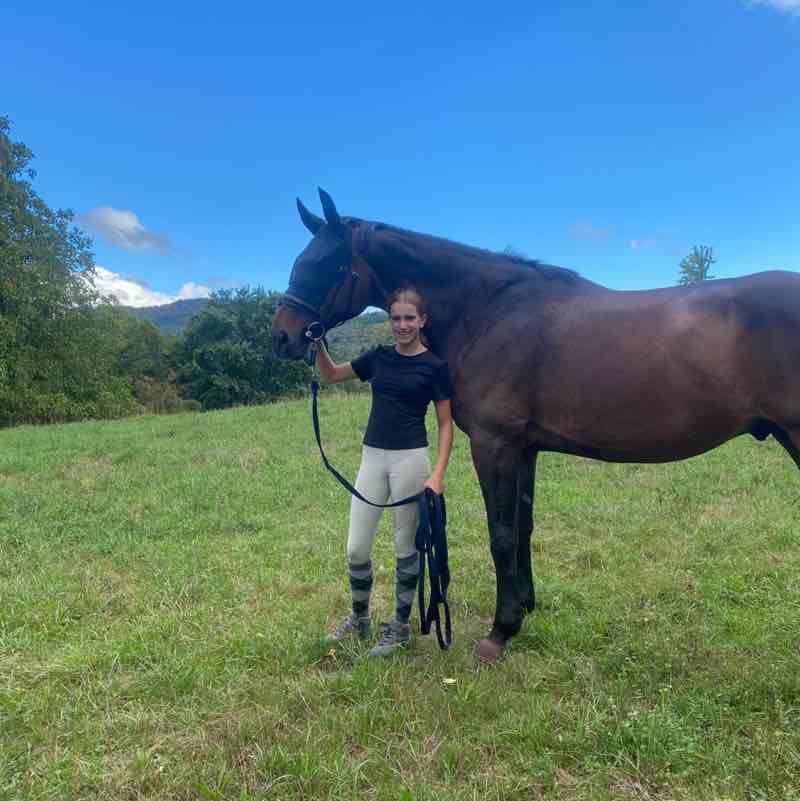 Frankenthal Nela 🪻🐴 post image