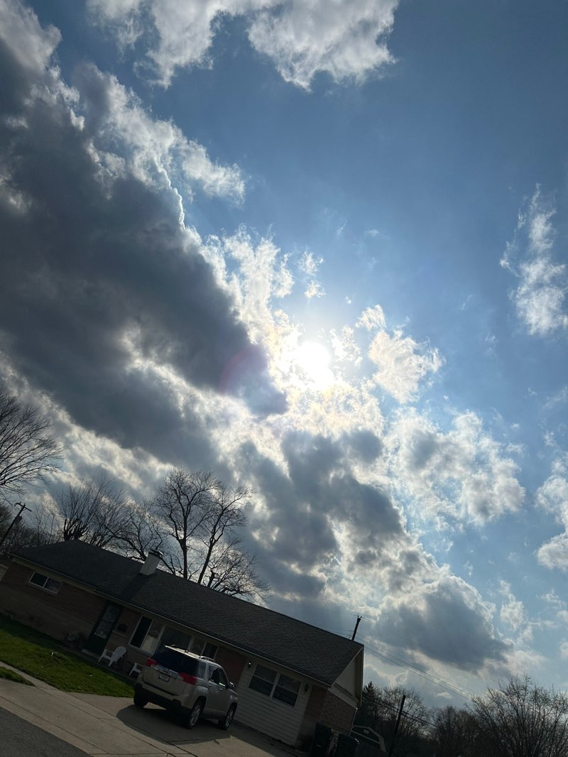 walking near me in Northeast Park in spring