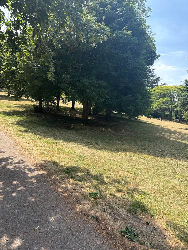 walking near me in Dane Park in summer