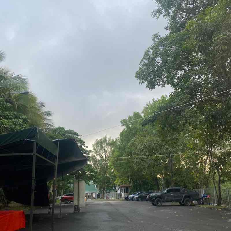Pyohanes post 1