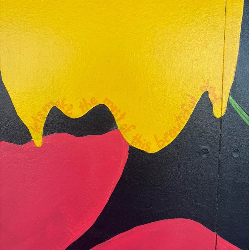 The Springtime Steppers 🌸🌺 Phenecia post image