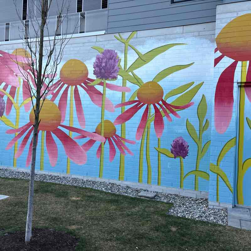 The Springtime Steppers 🌸🌺 Phenecia post image