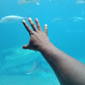 Derick Majebele profile