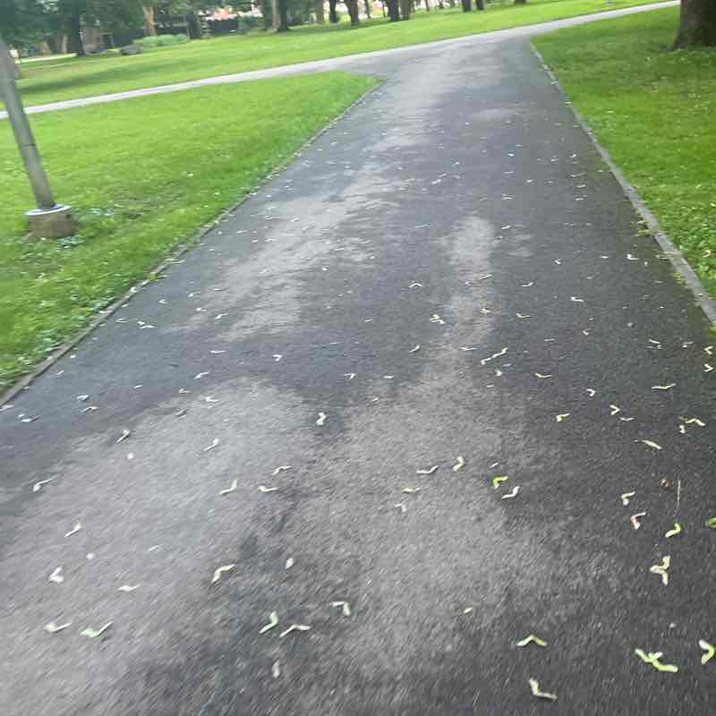 Sarmīte post 1