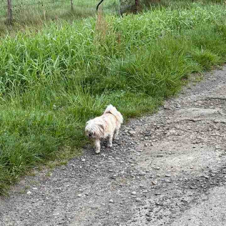 ❤️ 👣 LE 65 ET SES ENVIRONS viviane post image