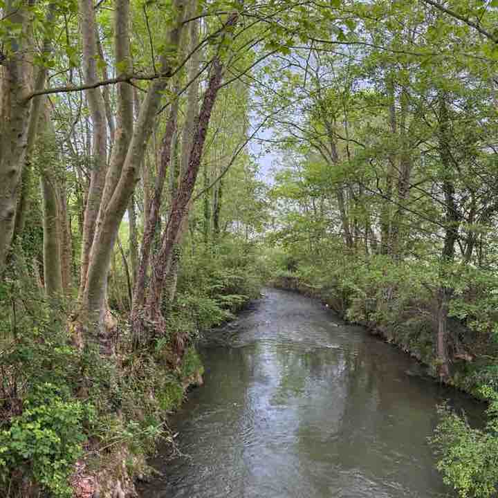 ❤️ 👣 LE 65 ET SES ENVIRONS viviane post image