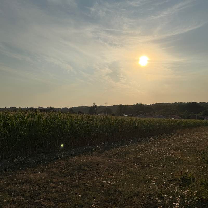 ❤️ 👣 LE 65 ET SES ENVIRONS viviane post image