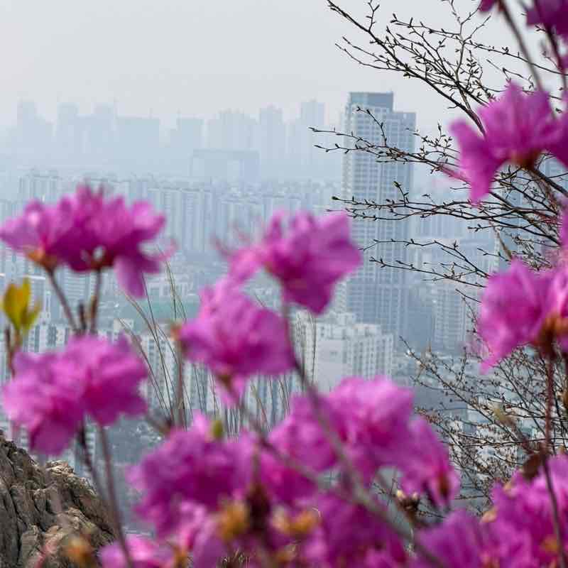 Валерия post 1