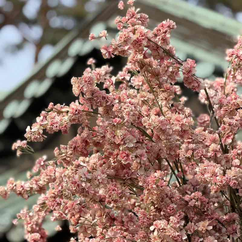 Валерия post 1