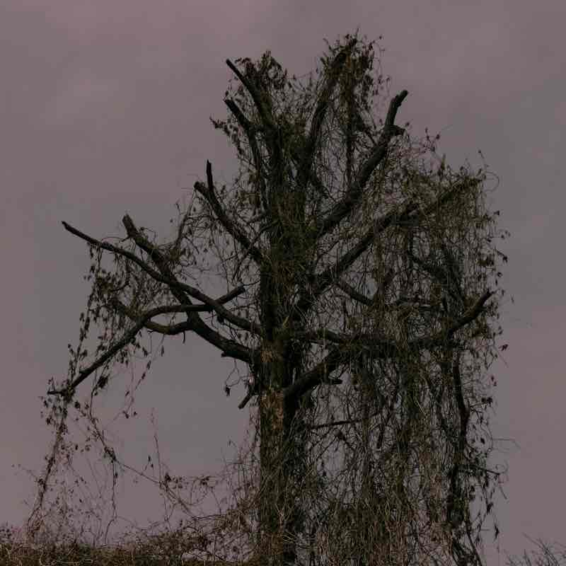 Валерия post 2