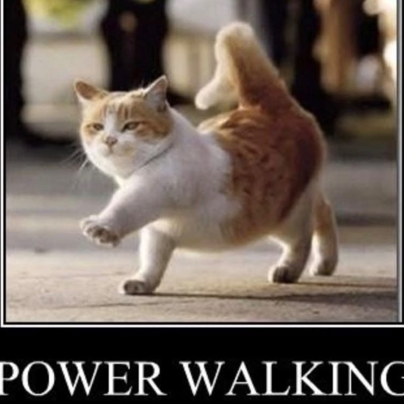 Hughes Sisters Bobbie post image