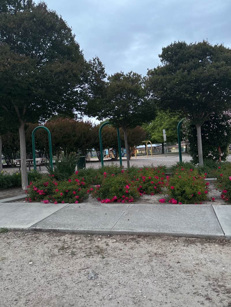 walking near me in Del Rey Park in spring