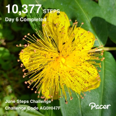 June Steps Challenge Astraea post image