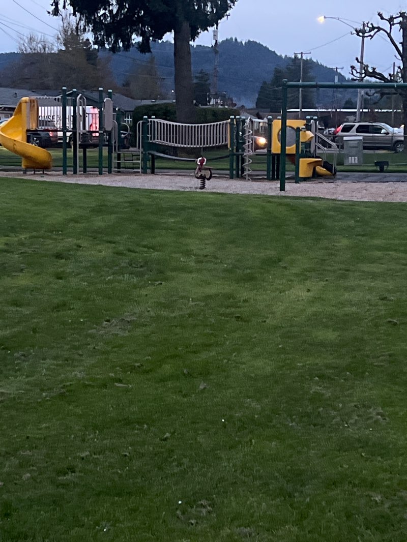 walking near me in Tyson Park in spring