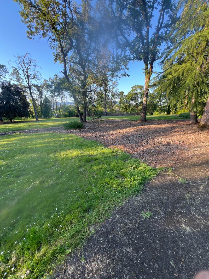 walking near me in Pioneer Memorial Cemetery Park in spring