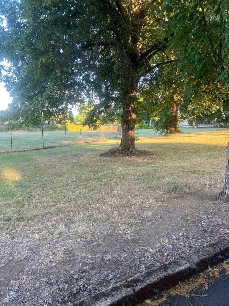 walking near me in Washington City Park in summer