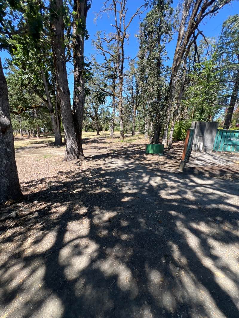 walking near me in Pioneer Memorial Cemetery Park in summer