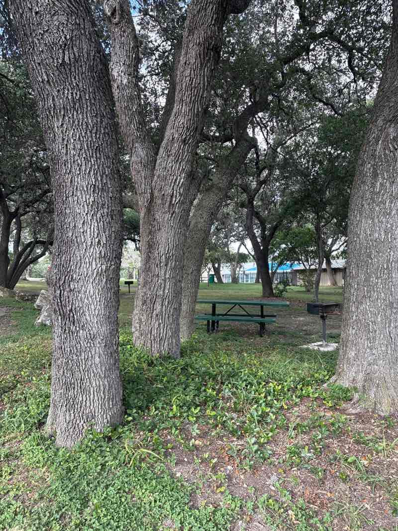 walking near me in Live Oak Pool and Park in summer