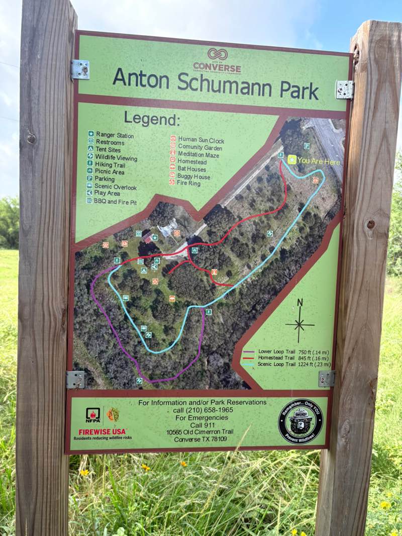 walking near me in Anton Schumann Park in summer